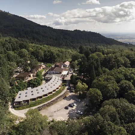 Domaine Du Hirtz, Restaurant & Apartmanhotel Wattwiller