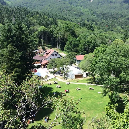 Domaine Du Hirtz, Restaurant & Lejlighedshotel 3*