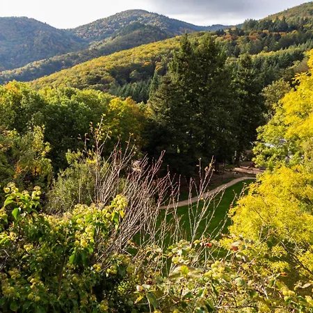 Domaine Du Hirtz, Restaurant &