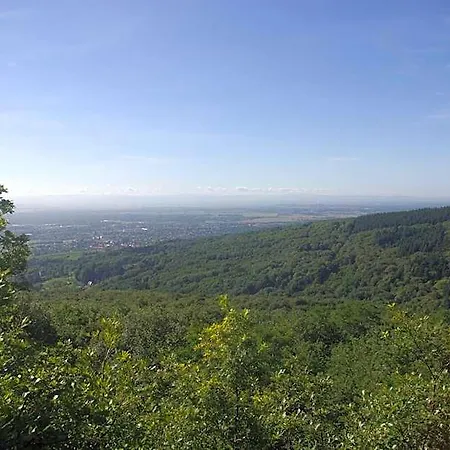 Апарт-отель Domaine Du Hirtz, Restaurant &
