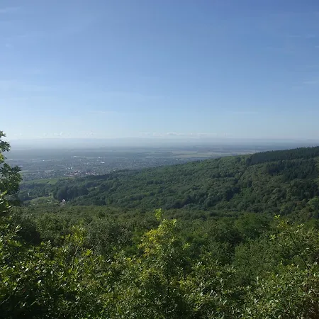 Domaine Du Hirtz, Restaurant & Lejlighedshotel 3*