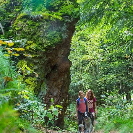 Lejlighedshotel Domaine Du Hirtz, Restaurant & Wattwiller