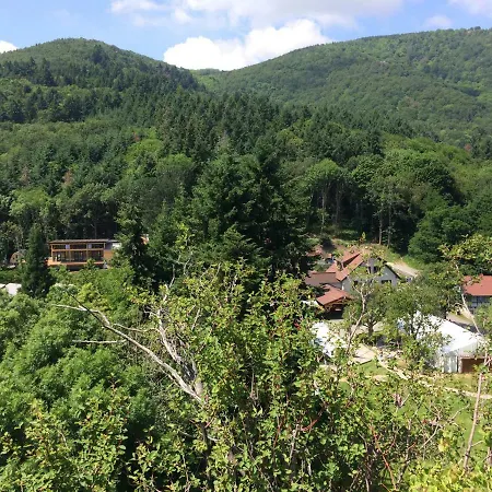 Apart Otel Domaine Du Hirtz, Restaurant & Wattwiller