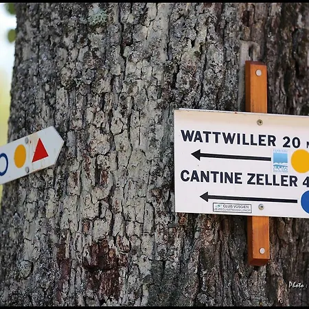 Domaine Du Hirtz, Restaurant & Wattwiller