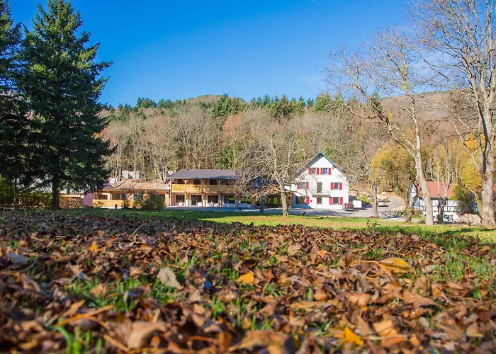 Domaine Du Hirtz, Restaurant & Aparthotel Wattwiller