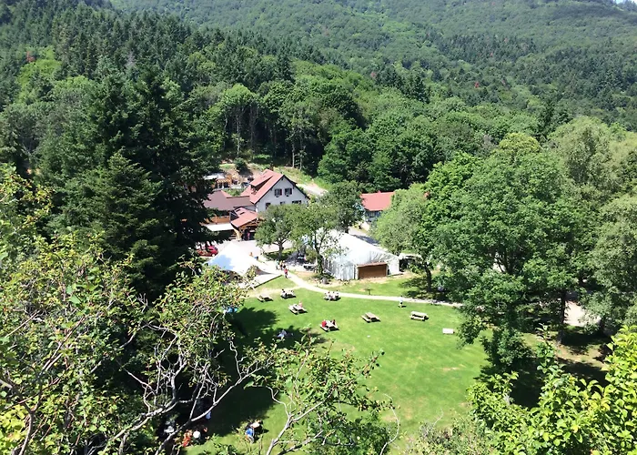 Domaine Du Hirtz, Restaurant & 公寓式酒店 3*