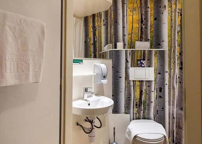 Domaine Du Hirtz, Restaurant & Aparthotel Wattwiller