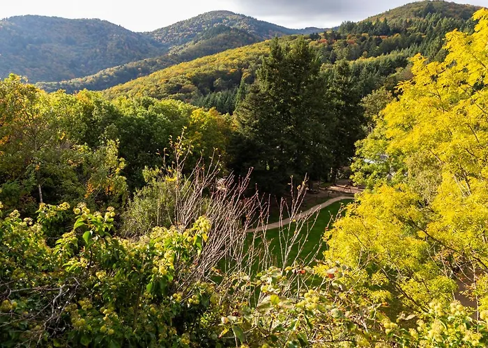 Domaine Du Hirtz, Restaurant &