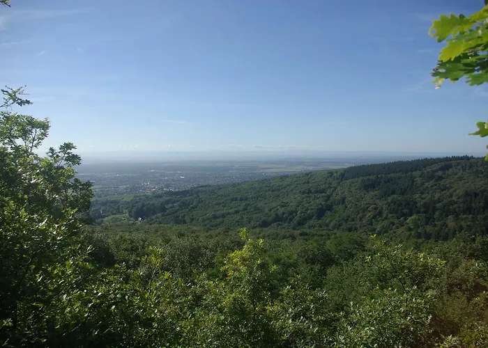 Domaine Du Hirtz, Restaurant & 公寓式酒店 3*