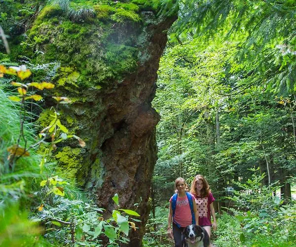 Aparthotel Domaine Du Hirtz, Restaurant & Wattwiller