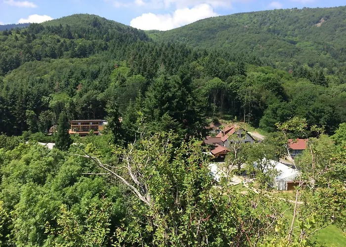 公寓式酒店 Domaine Du Hirtz, Restaurant & Wattwiller