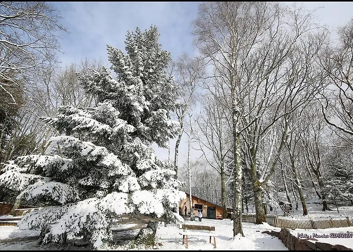 Aparthotel Domaine Du Hirtz, Restaurant & Wattwiller